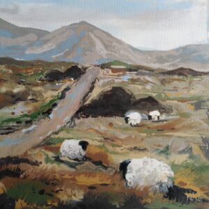 Bog Ramblers, Connemara - Square Greeting Card - A14