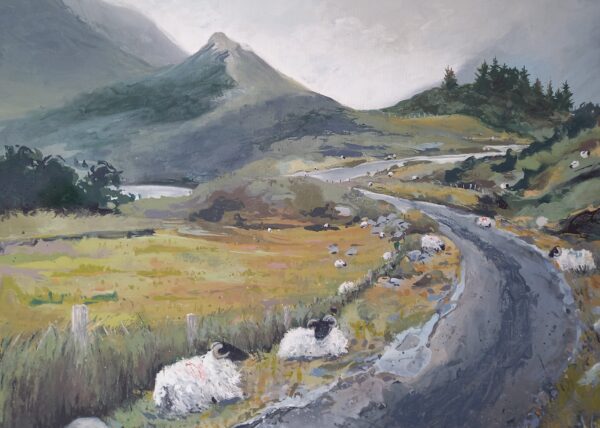 Little Roads Where Bog Cotton Grows, Kylemore - Rectangular Greeting Card - B7a