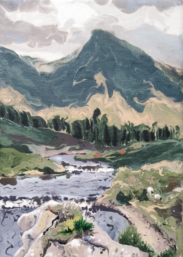 Wind Sheltering, Ballynahinch, Connemara  - Rectangular Greeting Card - C7