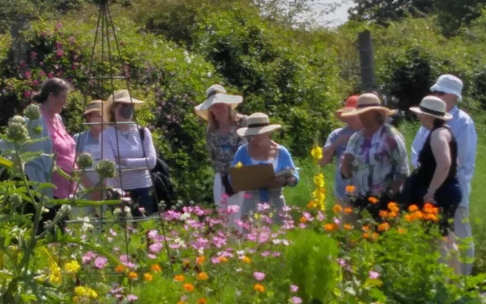 en plein air Painting Workshop